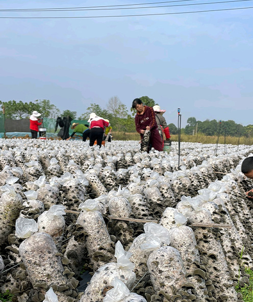 E-Commerce Retailers