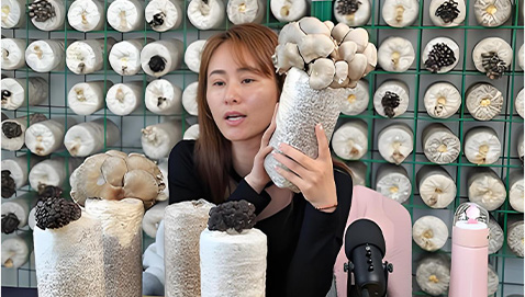 E-commerce Resellers and Distributors