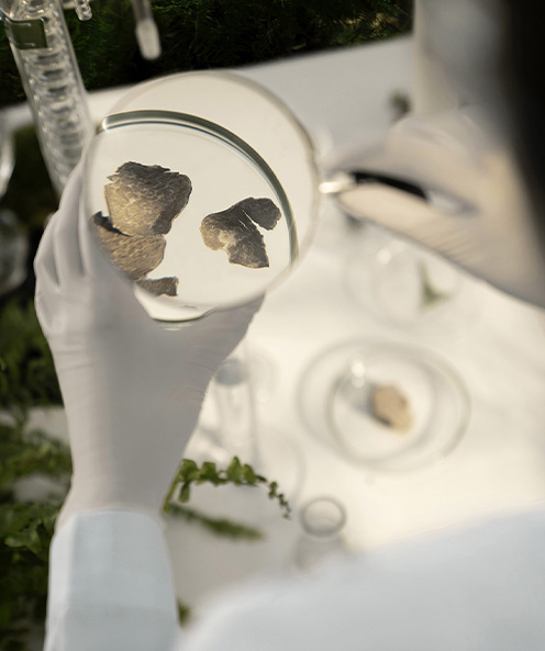 Education Scientific Research