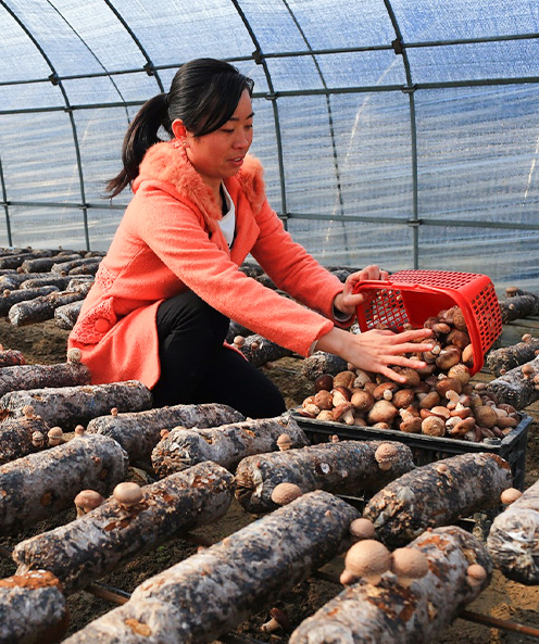 Family Farming Hobbyists