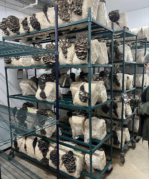 Industrialized Enterprises