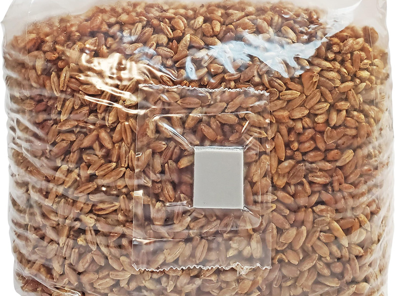 Mushroom Grow Bag With Injection Port