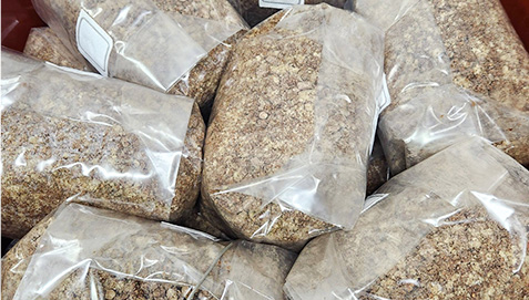 Mushroom Spawn Factories