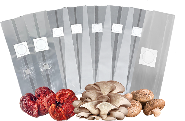 PP Mushroom Grow Bags