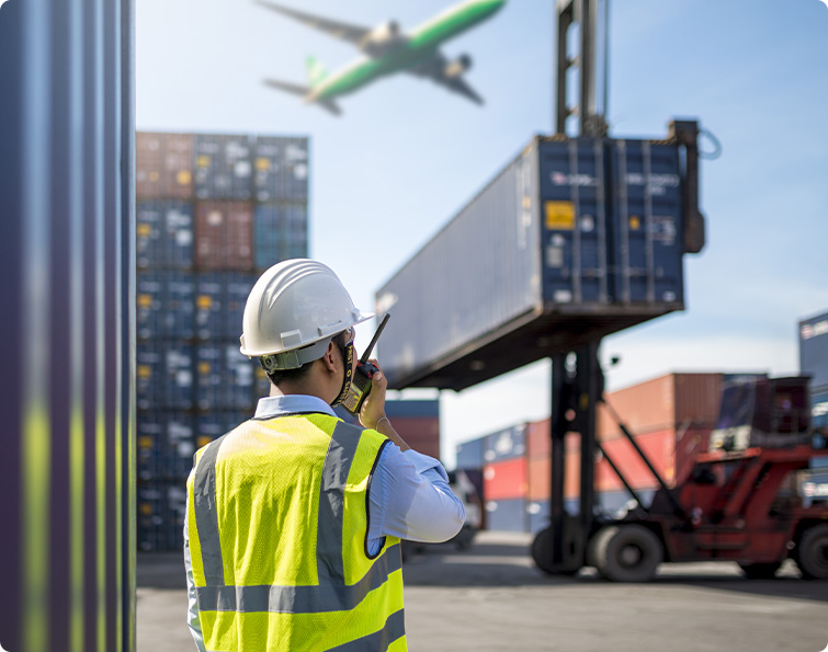 Raybo High Quality Mushroom Grow Bags Shipping