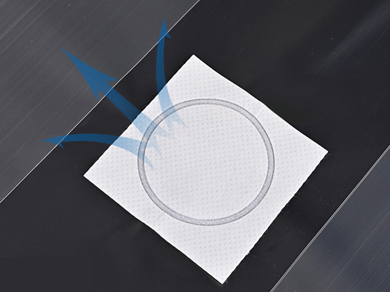 Raybo Co2 Mushroom Bags