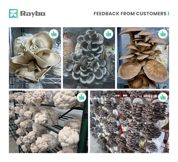 Mushroom Grow Bag Injection Port