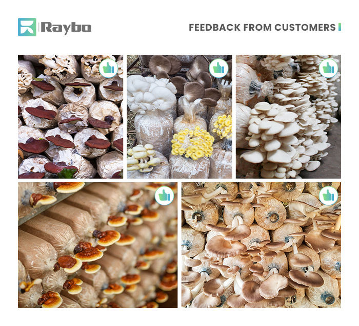 applications-of-polypropylene-mushroom-bags