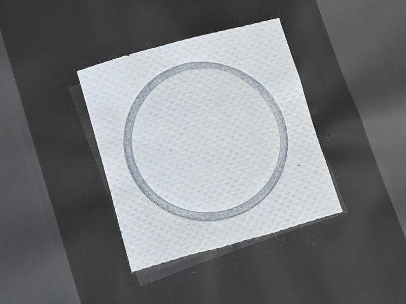 Raybo PP Bag For Mushroom