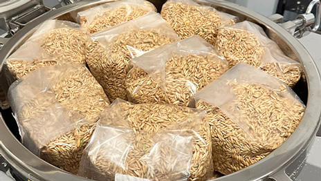 Chemical and Moisture Inertia