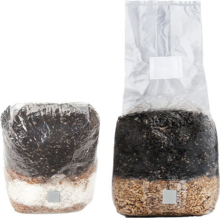 Raybo-pp-bag-for-mushroom