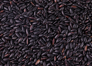 Black Wheat Grain