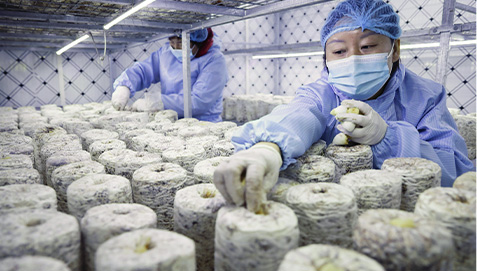 Spawn Producers and Research Labs