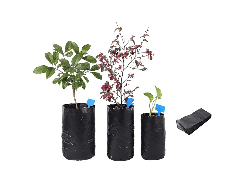 Applications of Black Polybag For Plants