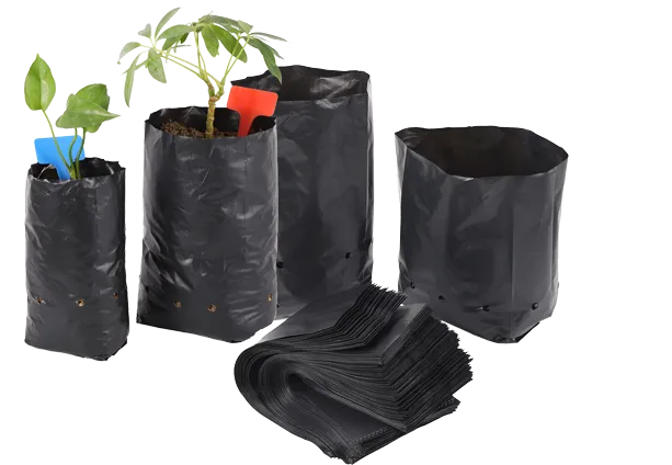 Plastic Growing Bags