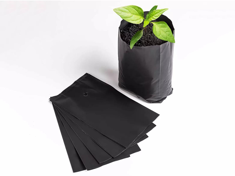 Black Polybag For Plants