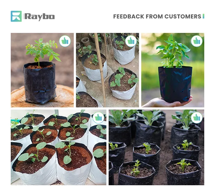 Applications of Polythene Grow Bags