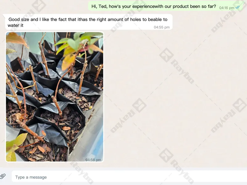Good Reviews on Raybo Plastic Plant Growing Bags