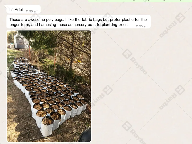 Good Reviews on Raybo Polythene Growing Bags