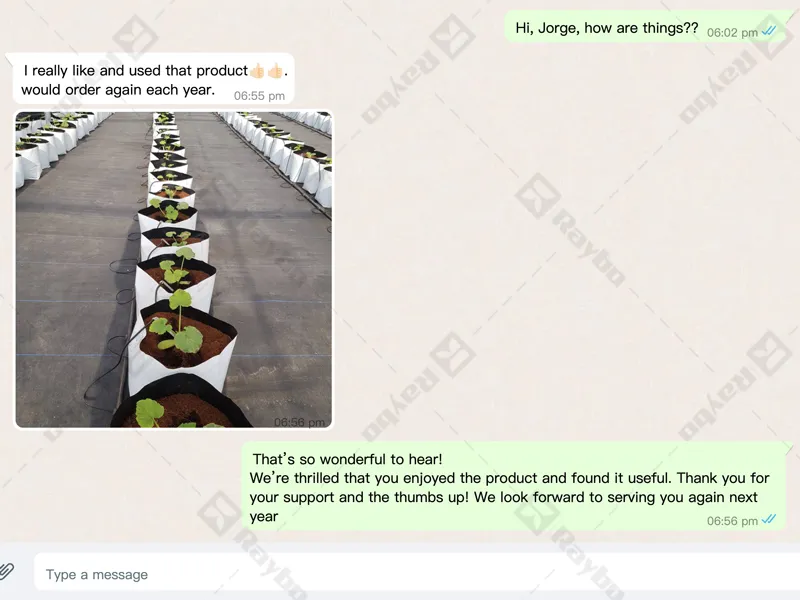 Great Reviews on Raybo Polythene Growing Bags