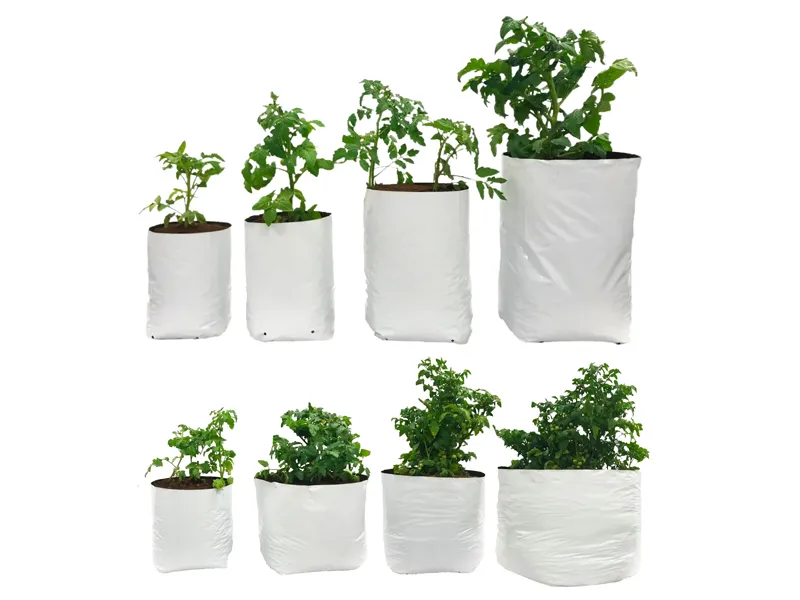 Poly Bag Plant Pots