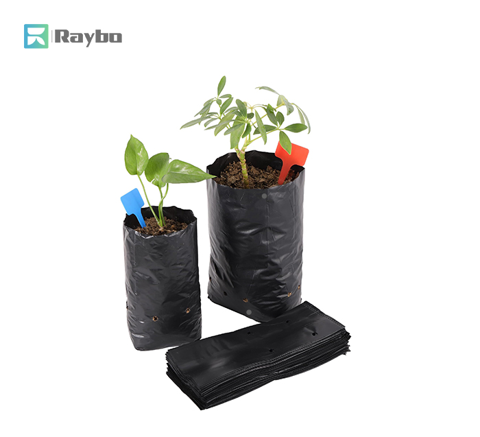 Raybo Polythene Grow Bags