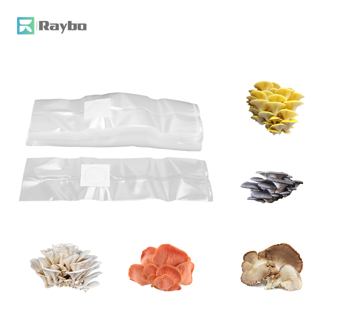 Raybo Oyster Mushroom Grow Bags for Sale