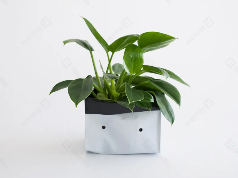 Raybo PE Grow Bags for Sale