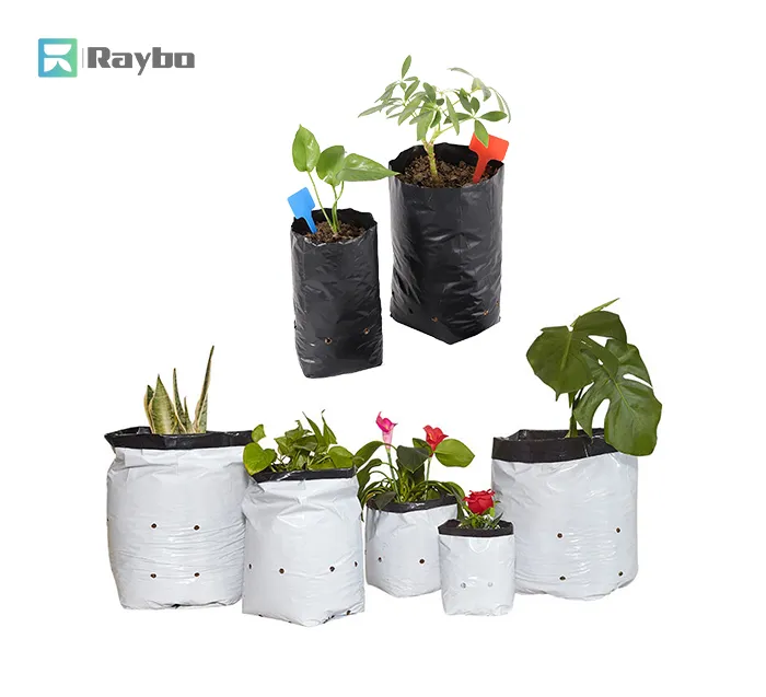 Raybo Plant Poly Bags