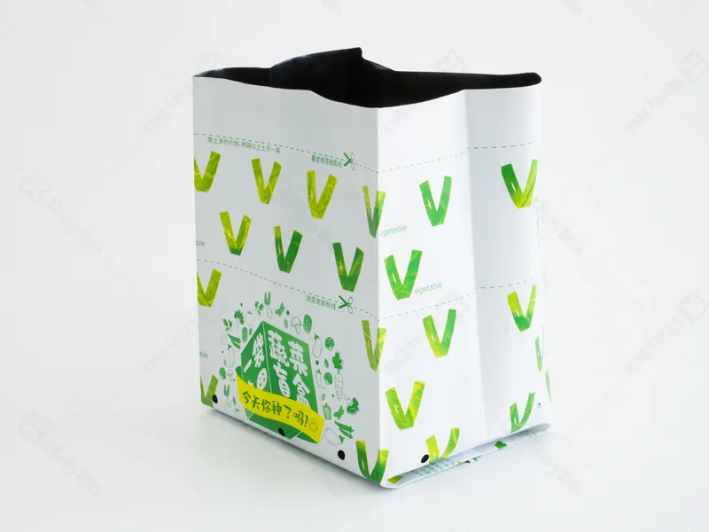 Raybo Plastic Nursery Bags