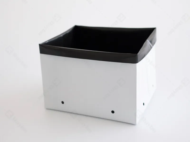 Raybo Poly Bag Plant Pots