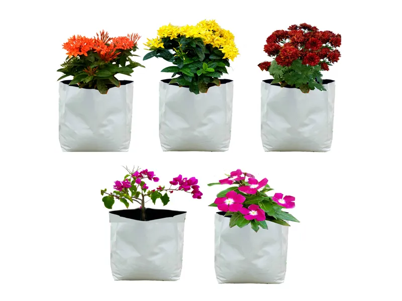 Raybo Polythene Plant Bags