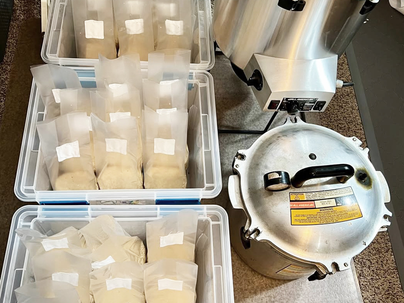 Reviews of Raybo Bags