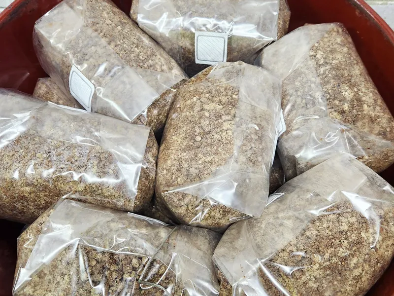 Use Raybo Large Grow Bags to Add Grain