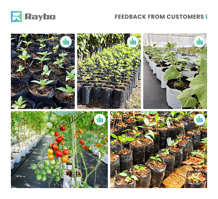 Applications of Polythene Grow Bags