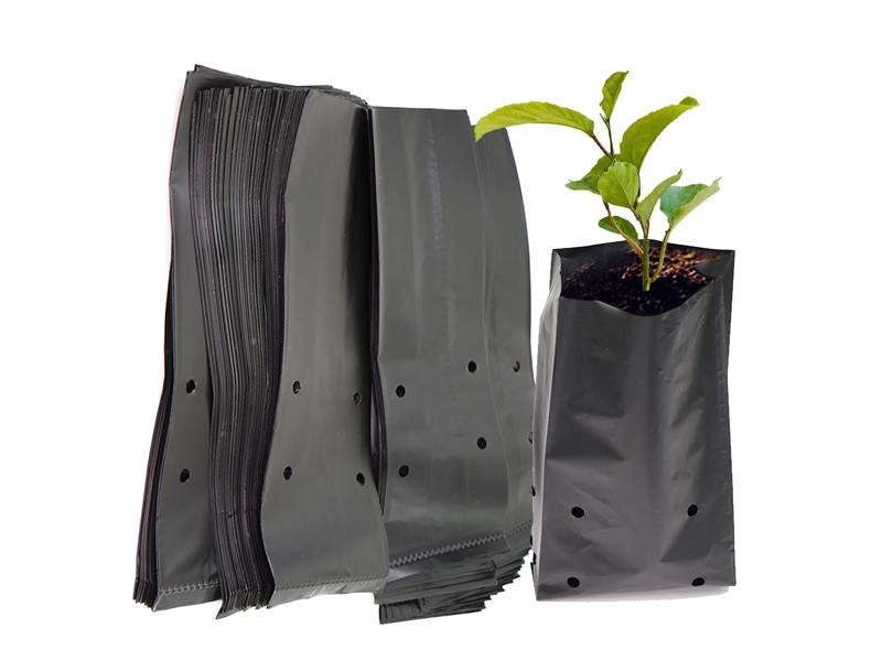Raybo Plastic Bag For Nursery for Sale