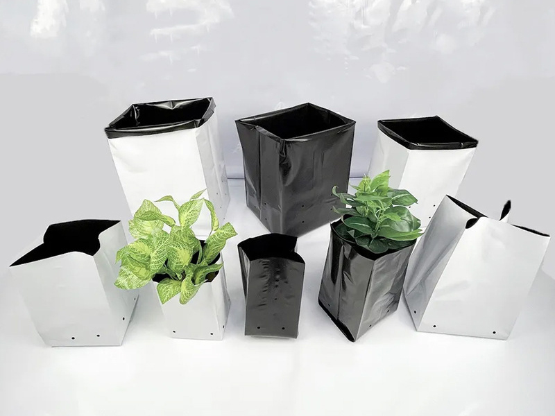 Raybo Plastic Nursery Bags For Plants